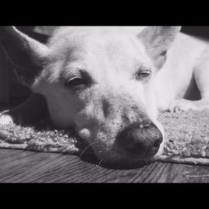 Meet your Posher, Gabi